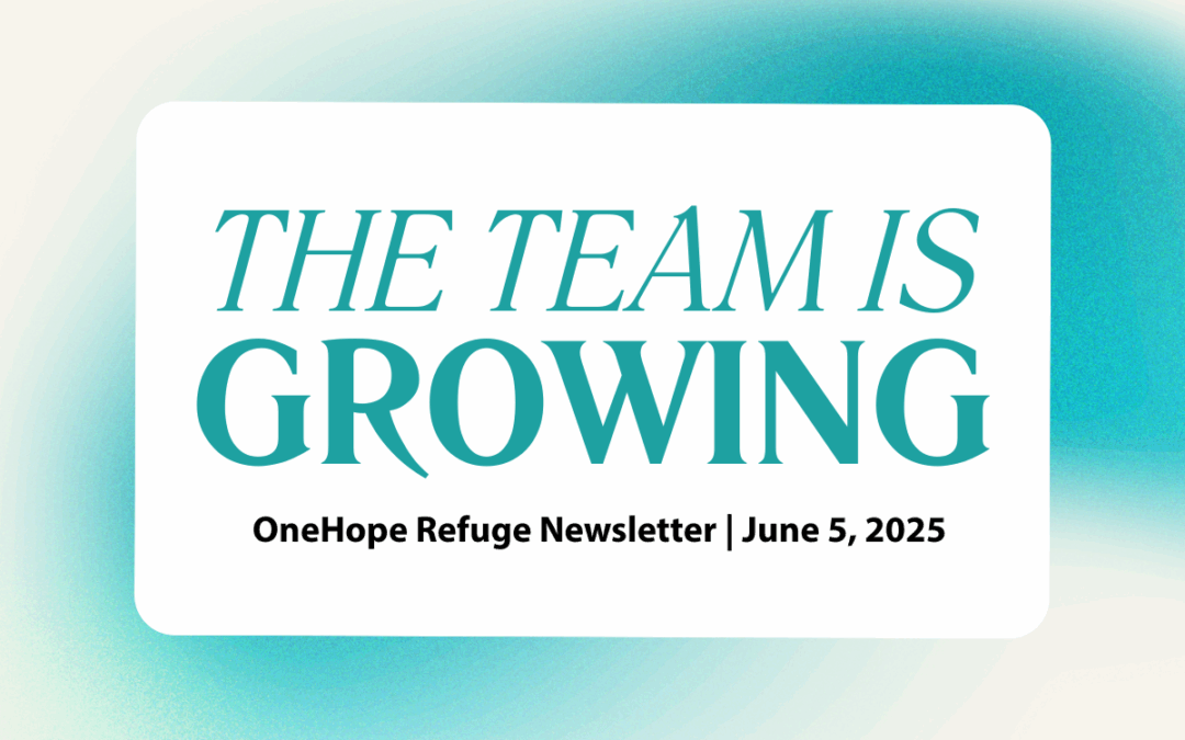 The Team is Growing!